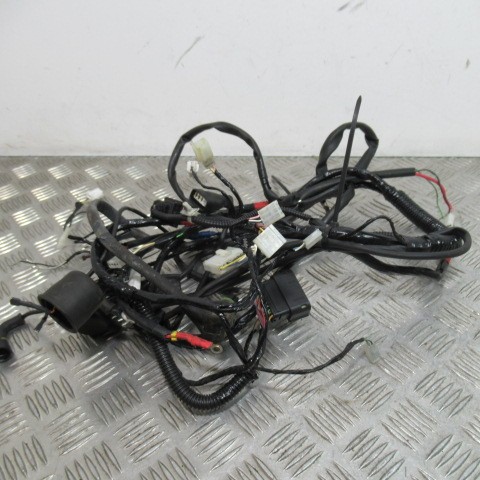 Faisceau électrique gilera - électrique,