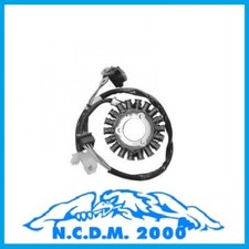 STATORE MAGNETE VOLANO PGO Bugrider 250 2005-0000