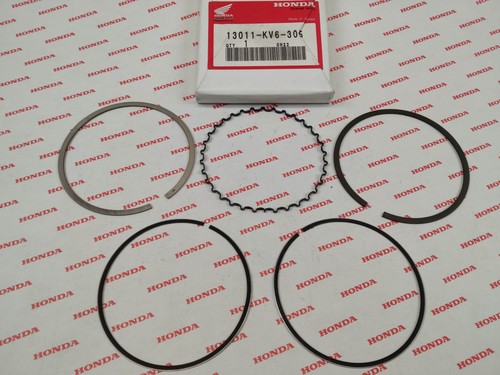 Segment cote std - xr250, r
