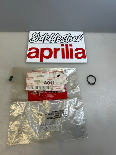 Circlip aprilia ap8206179 - circlip,