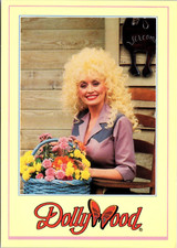 Pigeon Forge Tennessee TN Dolly Parton Dollywood Basket Flowers 1980s Postcard