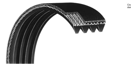 Courroie striée poly 356 - ,