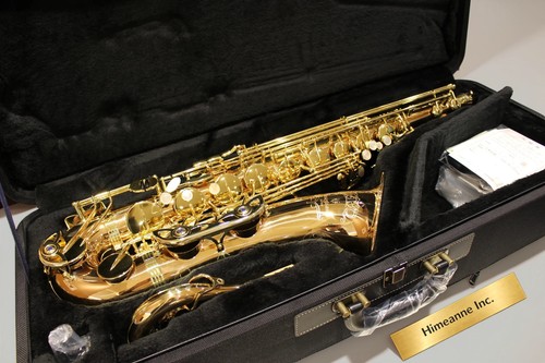 Saxophone alto yanagisawa - saxophone,