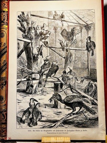 Paul meyerheim aviary - paul,