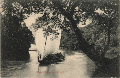 Cpa padda barge full - cpa, in