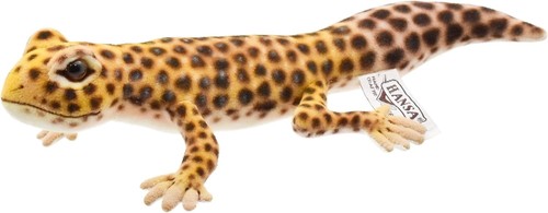 Bh8140 hansa leopard - hansa, gecko