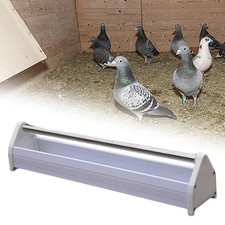 Mangeoire à pigeons