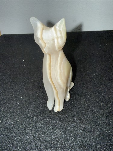 Banded onyx sphynx mystic cat - banded,