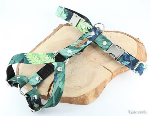 Harnais chien neuf taille - , m