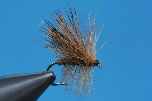 Fliegentom mouche sèche - , 3