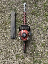 taille haie thermique