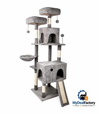 Grand arbre pour chats