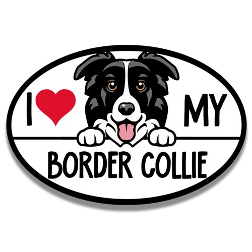 Love border collie dog - my,