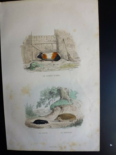 Gravure couleur