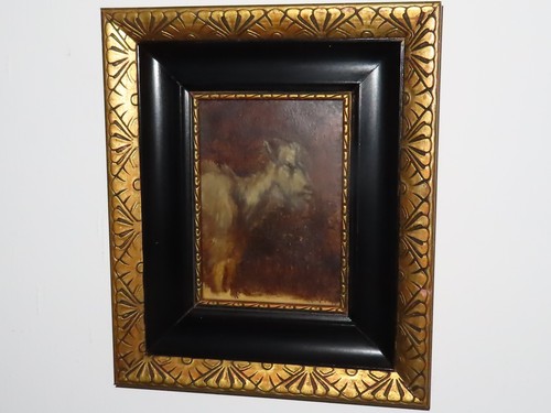 Tableau portrait animaux - portrait,