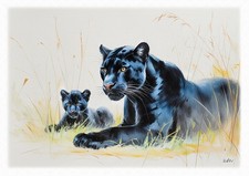 Tableau - Illustration