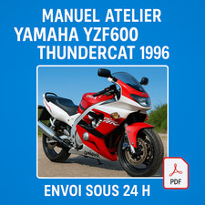 Manuel Atelier Yamaha YZF 600