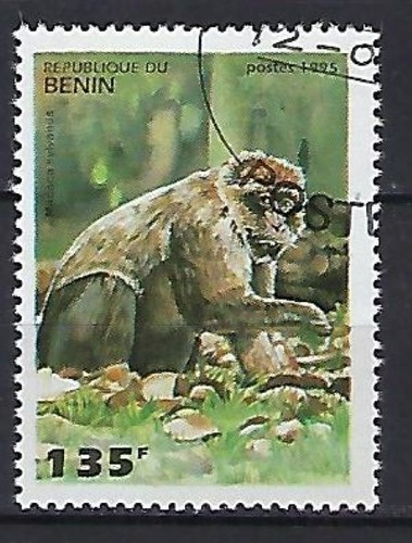 Bénin 1995 singes - bénin, yvert