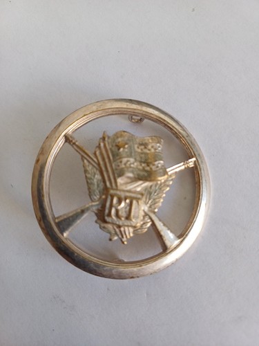 Insigne beret togo argenté - beret,