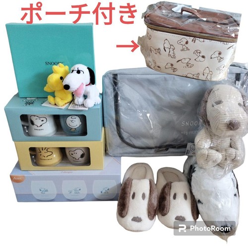 Ensemble collection snoopy - ensemble,
