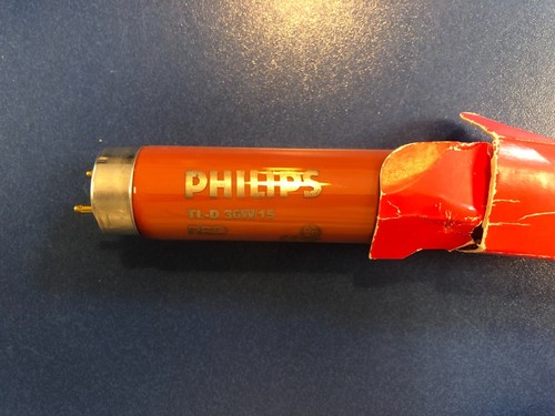 Philips tube fluorescent - philips, t8