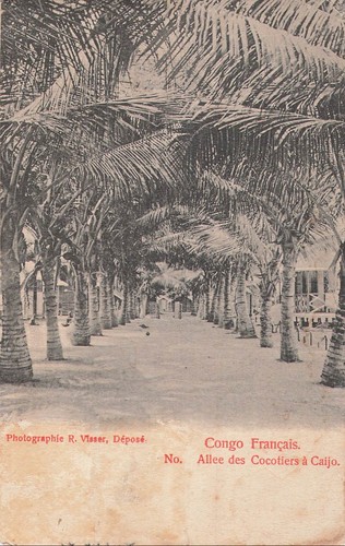 Congo allée des cocotiers à - des,