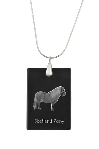 Poney shetland collier - shetland,