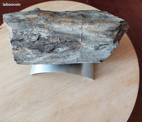 Bois pétrifié fossilisé