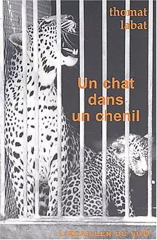 Chat dans chenil thomas - un, un