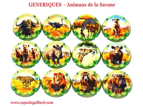 Série capsules de - série, 12