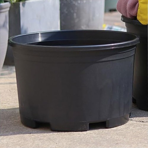 Grand pot plantes - grand,