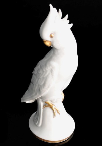 Perroquet porcelaine - perroquet, en