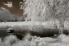 Nikon D70 720nm infrared converted Camera 720nm.With lens Full infrared kit.