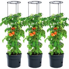 3 x pot pour plante de tomate