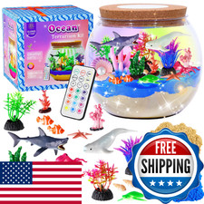 Gifmore Ocean Terrarium Kit