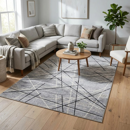Tapis gris moderne pour salon