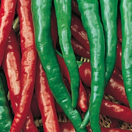 Graines piment doux - graines, des