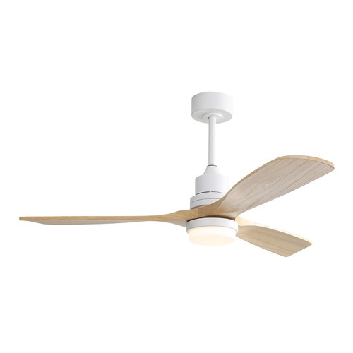 Ventilateur plafond avec - ventilateur,