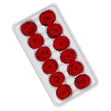  12 Pcs/Box Décoration De