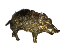 Sanglier gratte-plumes