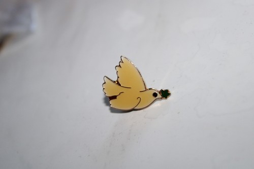 Pins colombe blanche rameaux - colombe,
