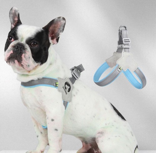 Harnais chien sangle - chien, de