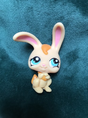 Petshop rabbit garenne - rabbit,
