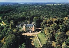 37 CHATEAU DE COUZIERES VINE