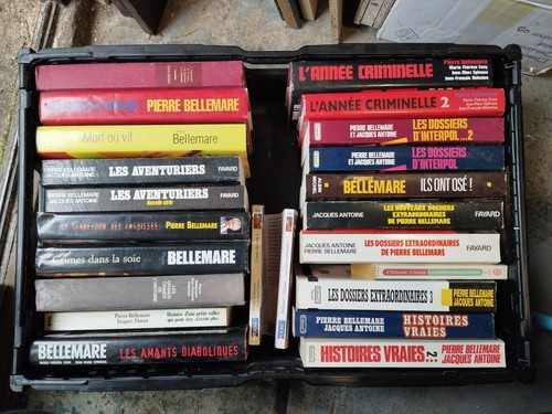 Lot livres pierre - 23,