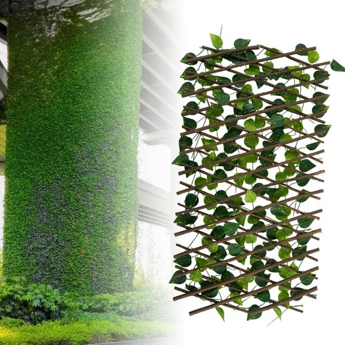 Treillis expansif clôture - , de