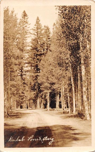 Kaibab national forest arizona - national,