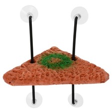  Terrarium Tortue Décor