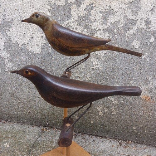 Grives appelant bois - grives,