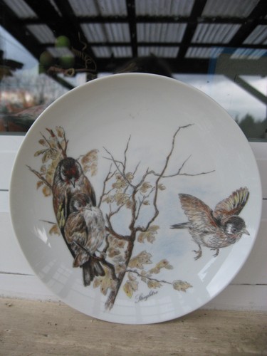 Assiette murale porcelaine - murale,
